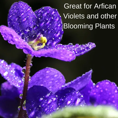 Vista 3 de Houseplant Hero African Violet & Blooming Plant Food - Fertilizante para plantas de interior 8-10-8 (8 onzas)
