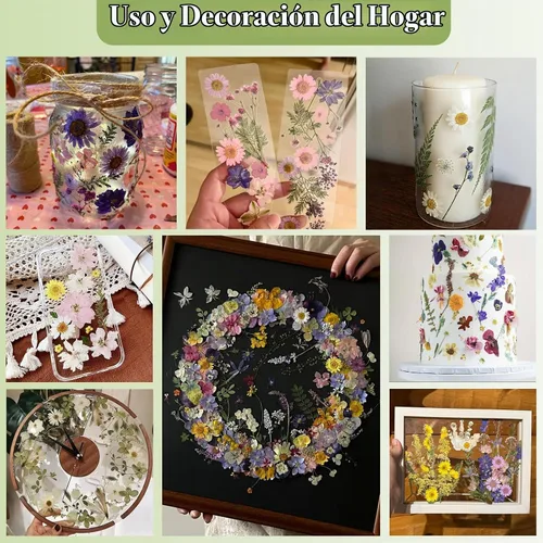 Vista 5 de 86 piezas de flores prensadas secas blancas y rosas para manualidades de resina Blanco 86 piezas