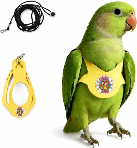 Vista 23 de Juego de arnés ajustable y correa para pájaros pequeños, apto para periquitos, conures, cacatúas, mejillas verdes, loros cuáqueros (verde, XS) 6350-6