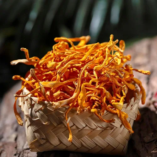 Vista 2 de Flor Cordyceps de 16 onzas, hongo Cordyceps seco 100% natural, apoya la función inmunológica energética para sopa/cocina/enfriamiento/té