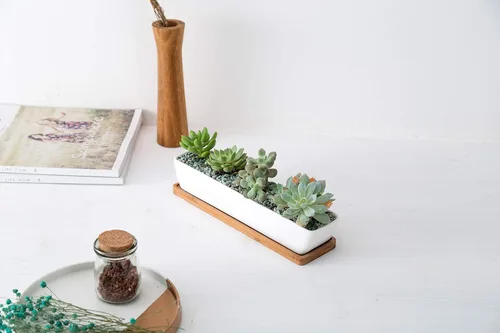 Vista 6 de Sea Star - Maceta moderna rectangular minimalista de cerámica blanca de 10 pulgadas para plantas suculentas para oficinas, escritorios, ventanas