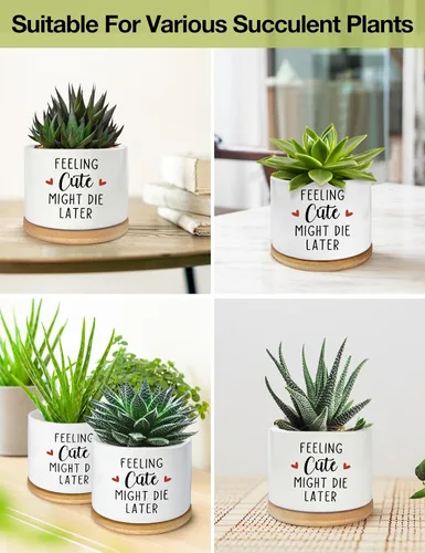 Vista 7 de Feeling Cute Might Die Later - Maceta de cerámica grabada para suculentas, aloe y cactus, divertidas macetas de interior con bandeja de bambú