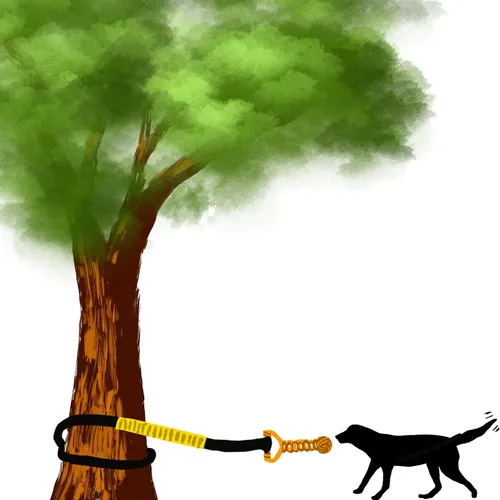 Vista 9 de Juguete elástico para perros de 20.35 pies con cuerda interactiva reforzada con dos recambios de repuesto, juguetes interactivos para perros