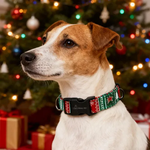 Vista 5 de ARING PET Collar de Navidad para perro, lindo collar de copos de nieve populares rojo y verde con hebilla de liberación rápida para cachorros