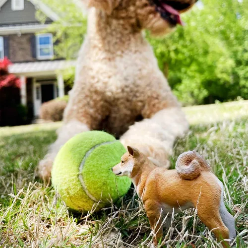 Vista 2 de Safari Ltd. Figura Shiba Inu – Figura realista de perro de plástico de 3 pulgadas – Divertido juguete educativo para niños, niñas y niños a partir