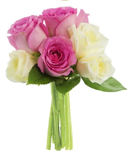 Vista 52 de KaBloom - Rosas arcoíris (media docena)- Flores frescas para cumpleaños, San Valentín y Día de la Madre