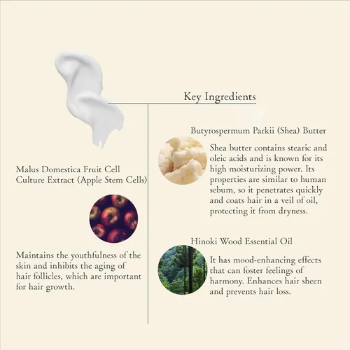 Vista 8 de Set de champú y acondicionador para el cabello seco