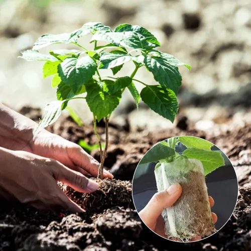 Vista 5 de GREANER 200 bolsas de vivero de plantas, 3.5 x 4.7 pulgadas, bolsas de cultivo de plantas de tela biodegradable no tejida, macetas de plantas