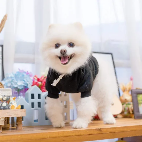 Vista 2 de KOOLTAIL Sudadera básica con capucha para perro, suave y cálida, con agujero para correa y con bolsillo, abrigo de invierno para perros, ropa