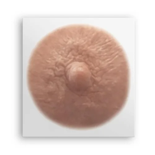 Vista 9 de TataTattoos - Tatuajes temporales realistas para pezón/areola, no quirúrgicos para recuperación de mastectomía, para postcirugía de cáncer de mama