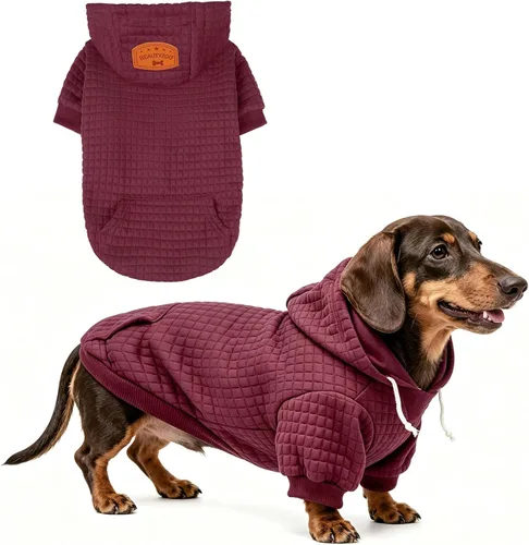 Vista 85 de BEAUTYZOO - Sudadera con capucha para perros con agujero para correa y bolsillo, suéteres para perros pequeños, medianos y grandes, niños y niñas