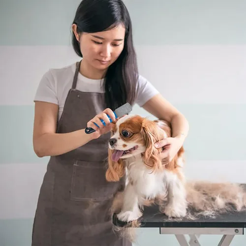 Vista 6 de Pelar con bordes de diamante de metal para perros, gatos y mascotas con agarre de plástico (fino)
