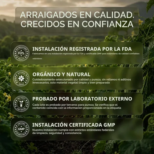 Vista 7 de Secrets of the Tribe Bitter Melon USDA Organic Extracto líquido sin alcohol para apoyo energético y digestivo Momordica Charantia frutos secos
