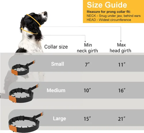 Vista 6 de SVD.PET Collar de punta para perro para entrenamiento sin tirones, hebilla de liberación rápida ajustable para perros pequeños