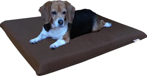 Vista 10 de Dogbed4less Cama para perros de espuma viscoelástica de gel para mascotas pequeñas a medianas y grandes con cubierta interna impermeable, nailon
