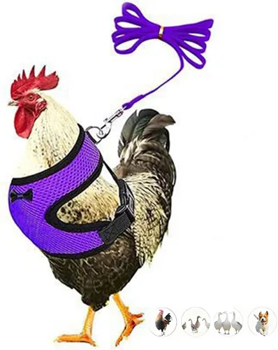 Vista 9 de Juego de arnés y correa para pollo, malla ajustable, transpirable, arnés de entrenamiento de pato, correas para mascotas, correas para ganso Negro