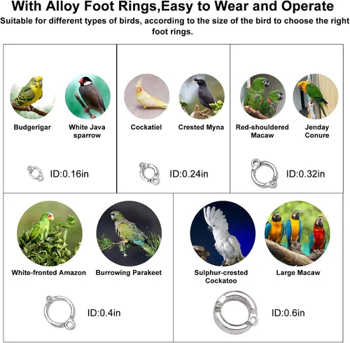 Vista 7 de Correa retráctil para pájaros, cuerda voladora de loro, correa de loro de cuerda de alambre antimordedura, arnés ajustable para pájaros