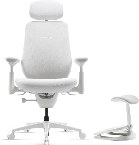 Vista 21 de LiberNovo Maxis Airflow - Silla de oficina ergonómica grande y alta