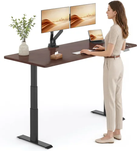 Vista 25 de FLEXISPOT E8 Premium North American - Escritorio de pie de nogal negro