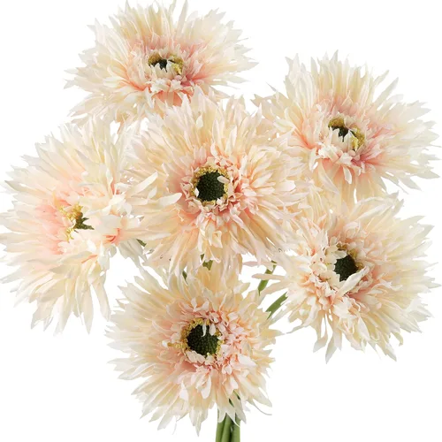 Vista 15 de FiveSeasonStuff Real Touch Gerbera Daisy - Arreglo de flores artificiales y ramo de boda (7 tallos florales, rojo baya)