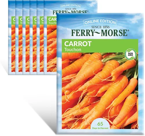 Vista 5 de Ferry-Morse Edición Online Bean Blue Lake Bush 274 Semillas Orgánicas Multipack – Paquete de 8
