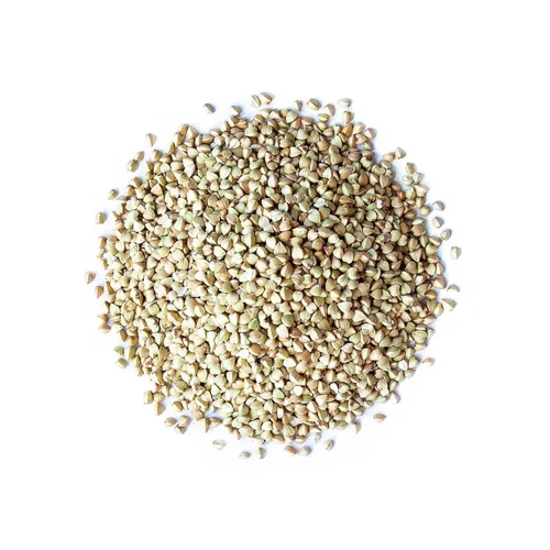 Vista 3 de Food to Live Granos de trigo sarraceno orgánico, 15 libras, semillas de trigo sarraceno de grano entero. Sin OMG, Kosher, crudo, vegano, alimento