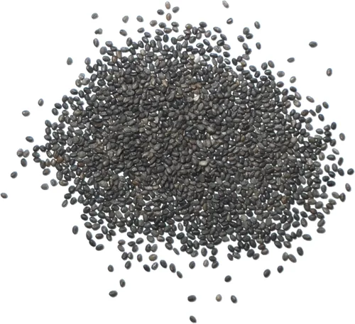 Vista 6 de Seed Needs Semillas de salvia de zafiro para plantar flores de salvia azul, 2 paquetes
