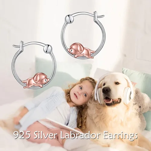 Vista 62 de VONALA Bonitos aretes de aro de plata de ley 925, regalos de cumpleaños para mujer