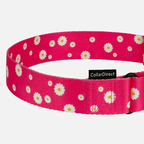 Vista 4 de CollarDirect Martingale - Collar para perro de nailon resistente para perros pequeños, medianos y grandes