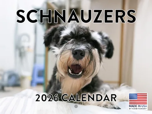 Vista 132 de Calendario mensual de pared Airedale Terrier Dog 2027 rojo (Airedale Terrier)