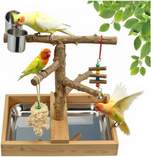 Vista 8 de Zona de juegos para pájaros, soporte de perca de loro, soportes de madera natural para cacatúa, perca de madera de cacatúa, escalera de gimnasio