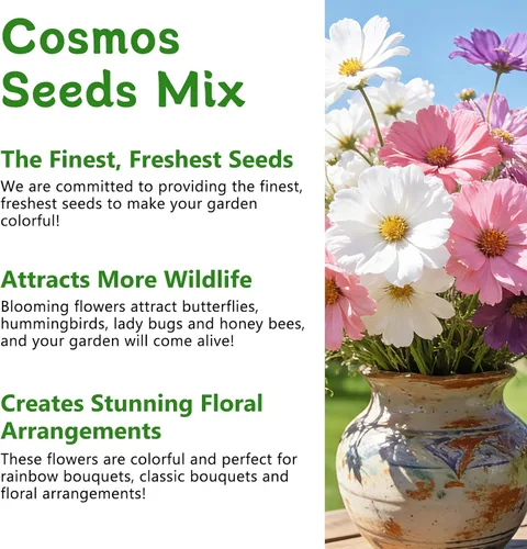 Vista 5 de LUOJIBIE Cosmos Seeds, más de 4,500 semillas de flores cosmos para 2026, semillas de flores silvestres para plantar jardín al aire libre, mezcla