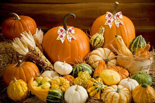 Vista 3 de Estivaux Cintas de otoño para manualidades y envoltura de regalos, borde con alambre de Acción de Gracias, color naranja, lazo de buralp natural