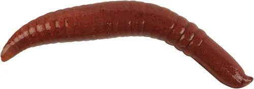 Vista 11 de Berkley Gulp! Cebo Blando de Pesca Flotante Pinched Crawler