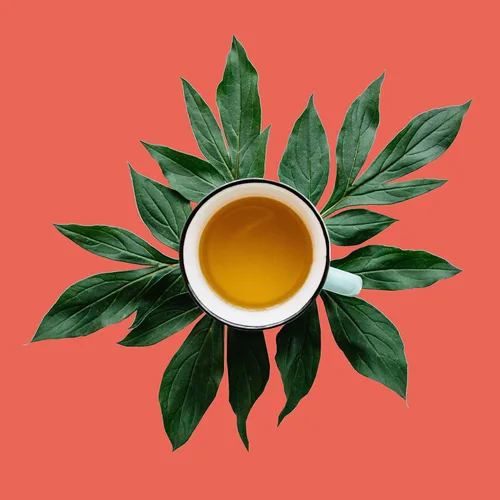 Vista 2 de Té Rooibos con especias de manzana y canela crujiente de manzana y hojas sueltas, 100% sin cafeína, caliente y helado, alto contenido