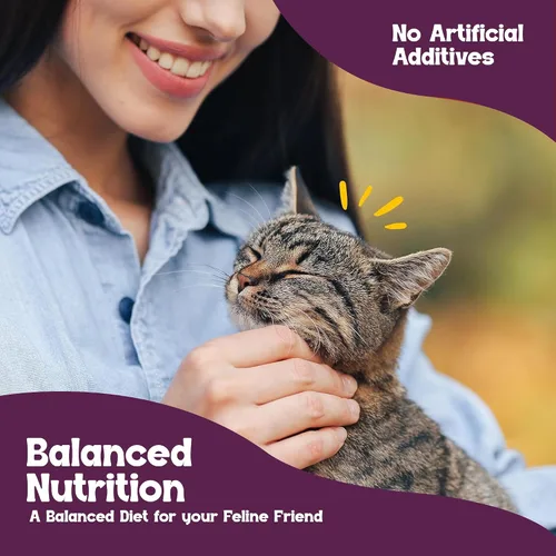 Vista 31 de Beefeaters Chicken Pate - Alimento húmedo para gatos, 3 onzas (paquete de 24 unidades), alimento húmedo para adultos con taurina, alimento húmedo