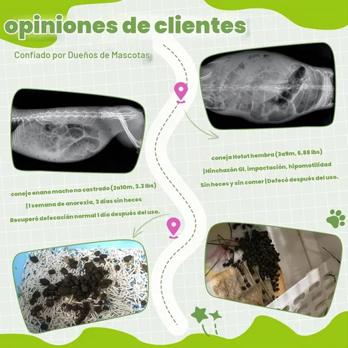 Vista 5 de Golosinas digestivas de conejo: cápsulas de hierbas de alta fibra con probióticos, apoya la salud intestinal y la digestión regular, para conejos