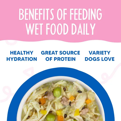 Vista 6 de Weruva Meals 'n More Alimento Húmedo Natural para Perros, Sopa de Pollo de la Abuela Más Apoyo Digestivo, Taza de 3.5oz (Paquete de 12)