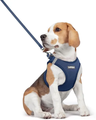 Vista 71 de rabbitgoo Arnés para perro de tamaño pequeño y juego de correa, chaleco Cachorros de manzana