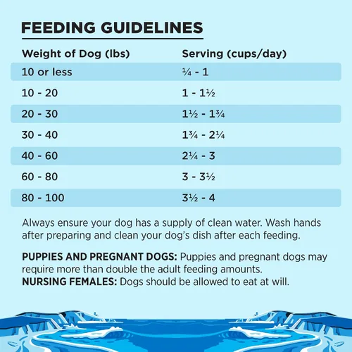 Vista 7 de BIXBI Liberty - Alimento seco para perros sin granos, receta de pesca pescador – pescado fresco, alto en proteínas, sin comidas de carne – Hecho