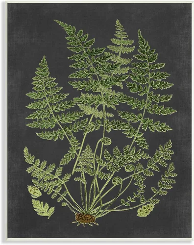 Vista 18 de Lienzo decorativo para pared con diseño de diente de león esponjoso, 16 x Flores de diente de león rústico