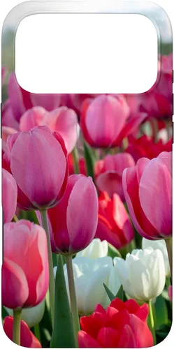 Vista 21 de Funda para iPhone 11 Pro Max Tulip Flower