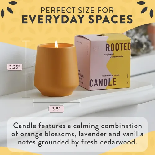 Vista 4 de Modern Sprout Rooted Candle - Vela perfumada de madera de cedro 2 en 1 y soja con semillas que crece en planta de lavanda, 6 onzas con 42 horas