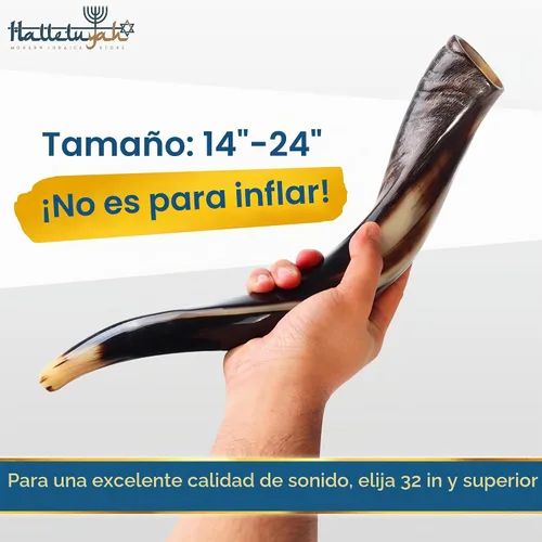 Vista 2 de Shofar de cuerno Kudu de Israel con soporte decorado por HalelluYAH