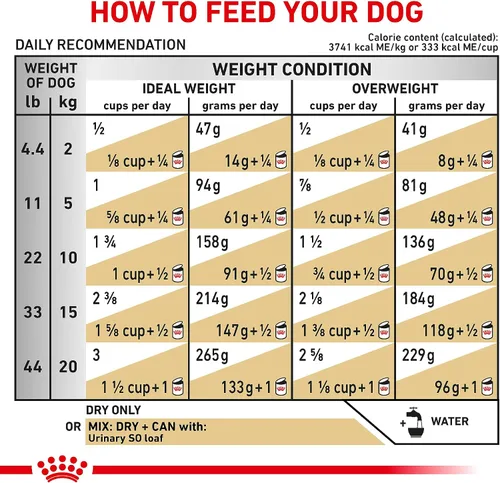 Vista 9 de Royal Canin Veterinary Diet Canine Urinary SO Alimento seco para perros adultos, bolsa de 6.6 libras