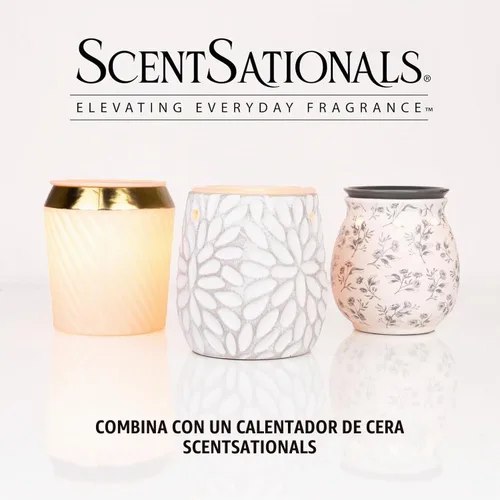 Vista 5 de ScentSationals Cera perfumada de cedro y lavanda para derretir 10 onzas (24 cubos) Lavanda, cedro blanco y caoba fragancia de larga duración se