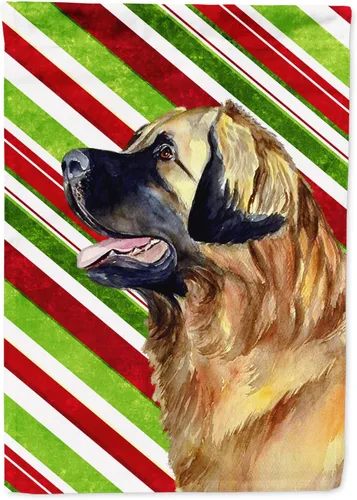 Vista 174 de Caroline's Treasures SC9334GF - Bandera decorativa para jardín, diseño de bastón de caramelo inglés, diseño de bulldog inglés, tamaño jardín