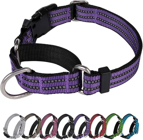 Vista 22 de Martingale - Collar reflectante de nailon ajustable con hebilla de liberación rápida, collares de entrenamiento para perros pequeños, medianos