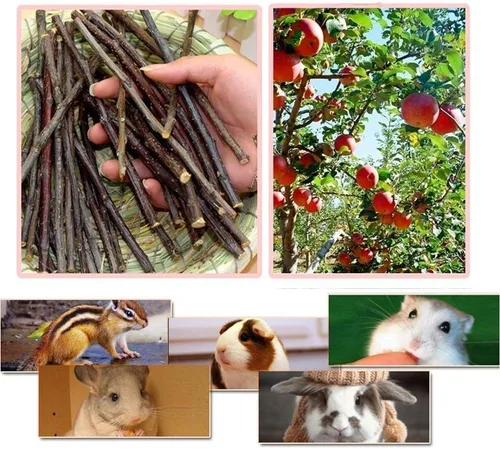 Vista 3 de William Craft Palitos de manzana para masticar para mascotas, golosinas para chinchilla, conejillos de indias, conejos, ardilla, hámster