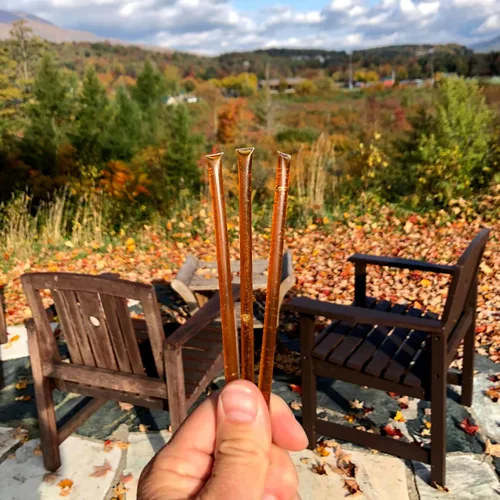 Vista 3 de Palitos de miel de flores silvestres para té, viajes y aperitivos. Los paquetes de miel pura de alta calidad son frescos de la granja
